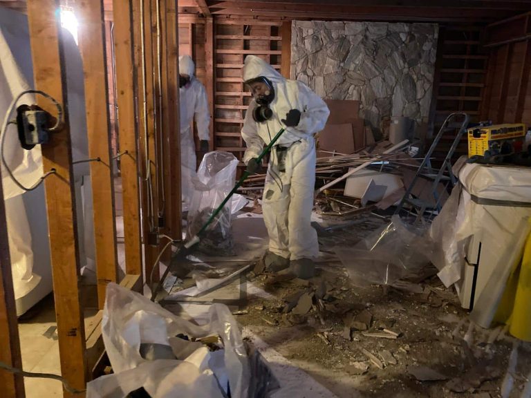 asbestos removal cost