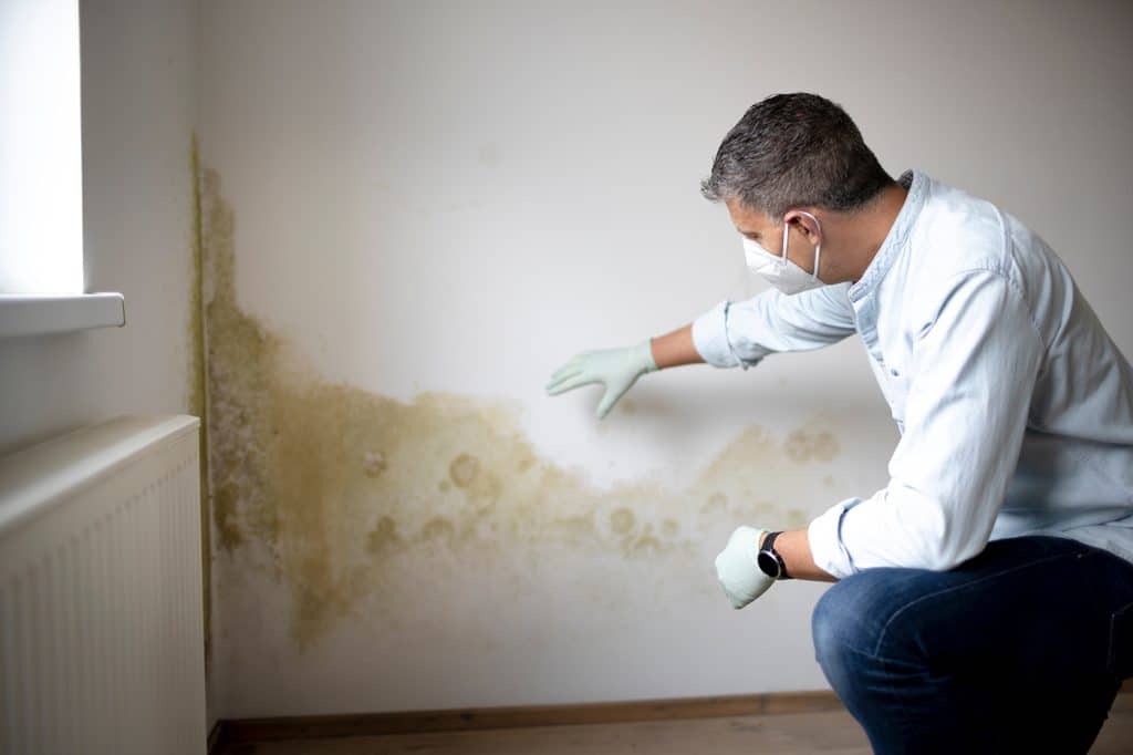 Top 5 Causes of Mold Growth in Homes and How to Prevent It