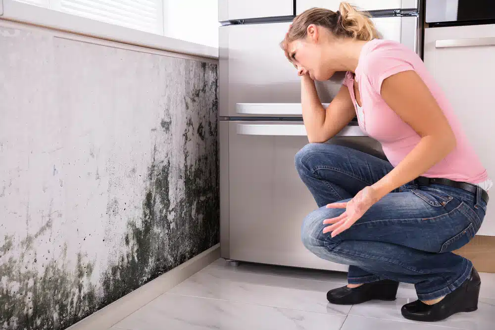 Top 5 Causes of Mold Growth in Homes and How to Prevent It