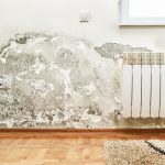 Top 5 Causes of Mold Growth in Homes and How to Prevent It