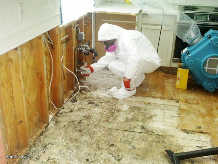 How to handle mold in office buildings