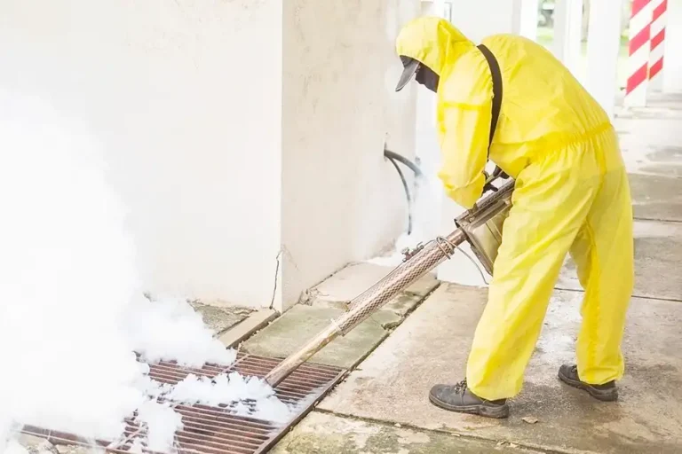 Choose the Right Demolition and Asbestos Removal Company