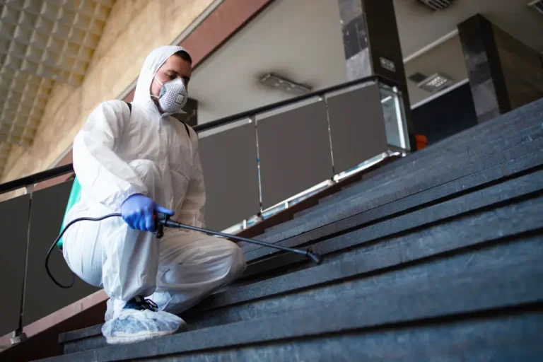 Asbestos removal