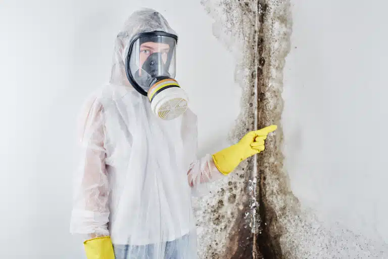 The Cost of Asbestos Removal in BC