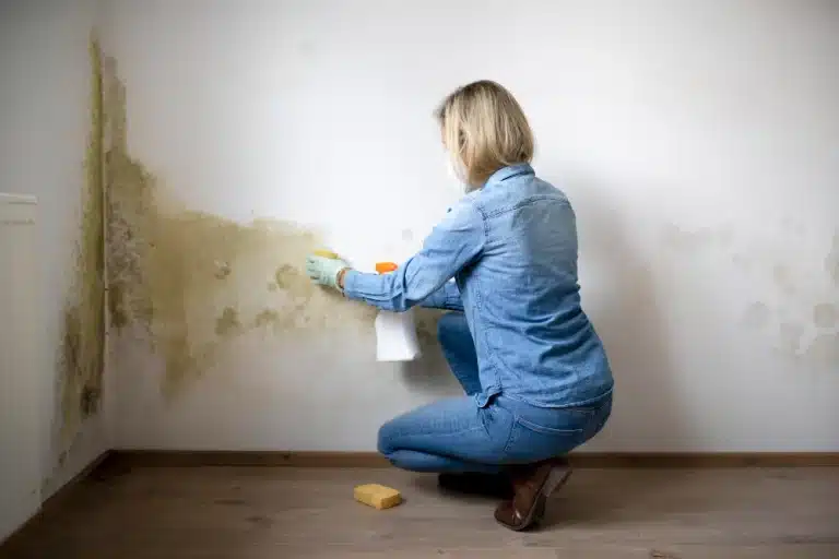 Remove Mold from Painted Walls