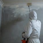 Mold Damage in Office Buildings